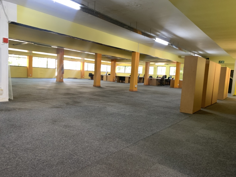 To Let commercial Property for Rent in Rondebosch Western Cape